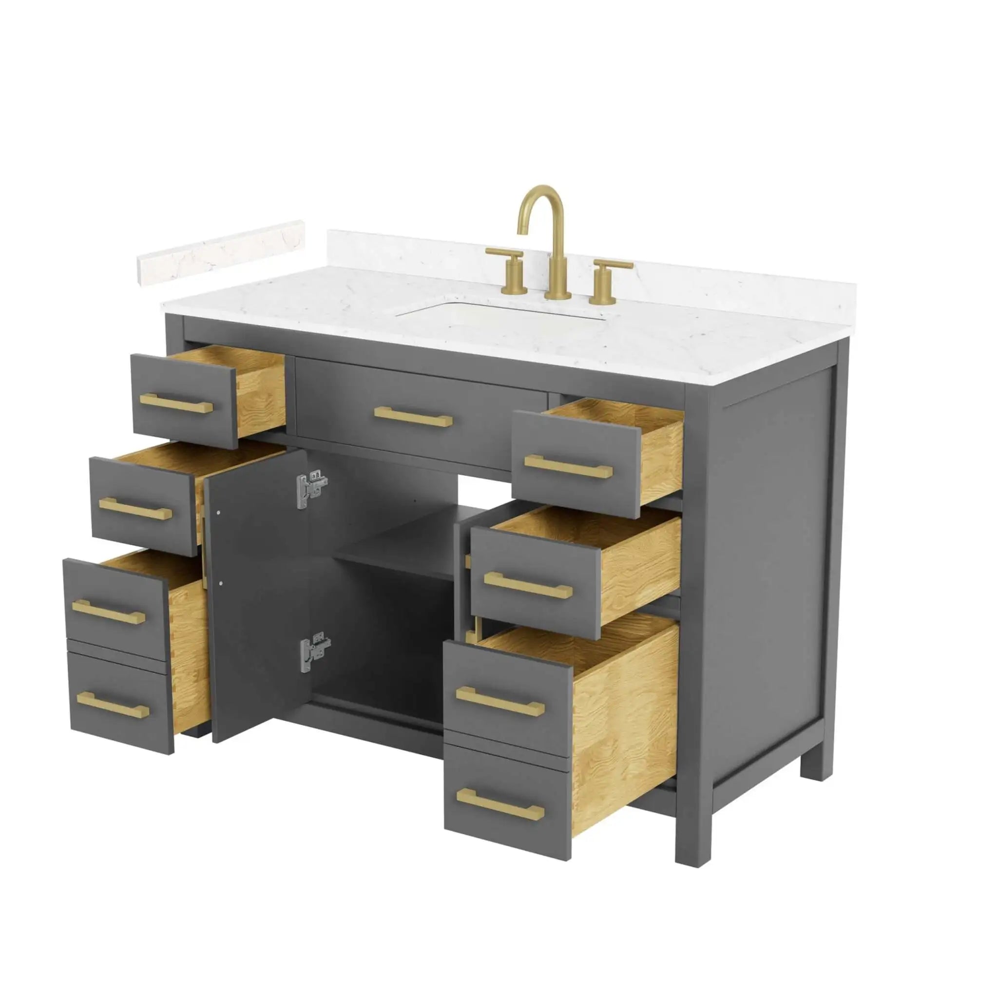 48" Beckett Single Bathroom Vanity in Dark Gray with Brushed Gold Trim by Wyndham