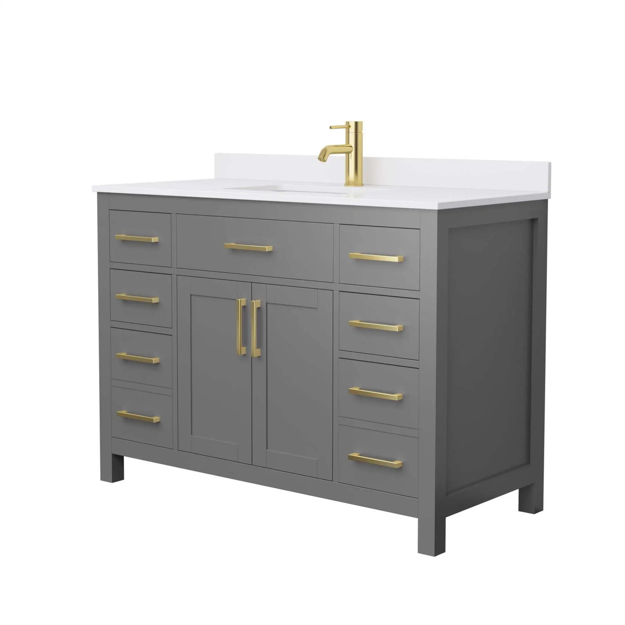 48" Beckett Single Bathroom Vanity in Dark Gray with Brushed Gold Trim by Wyndham