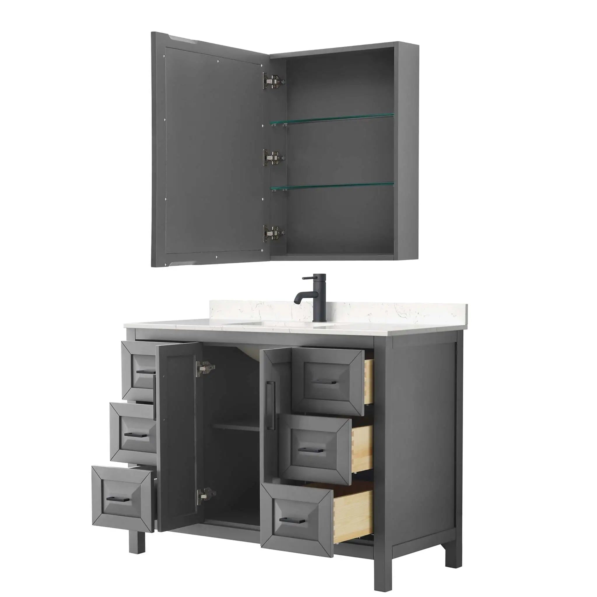 48" Daria Single Bathroom Vanity in Dark Gray with Matte Black Trim & Medicine Cabinet by Wyndham