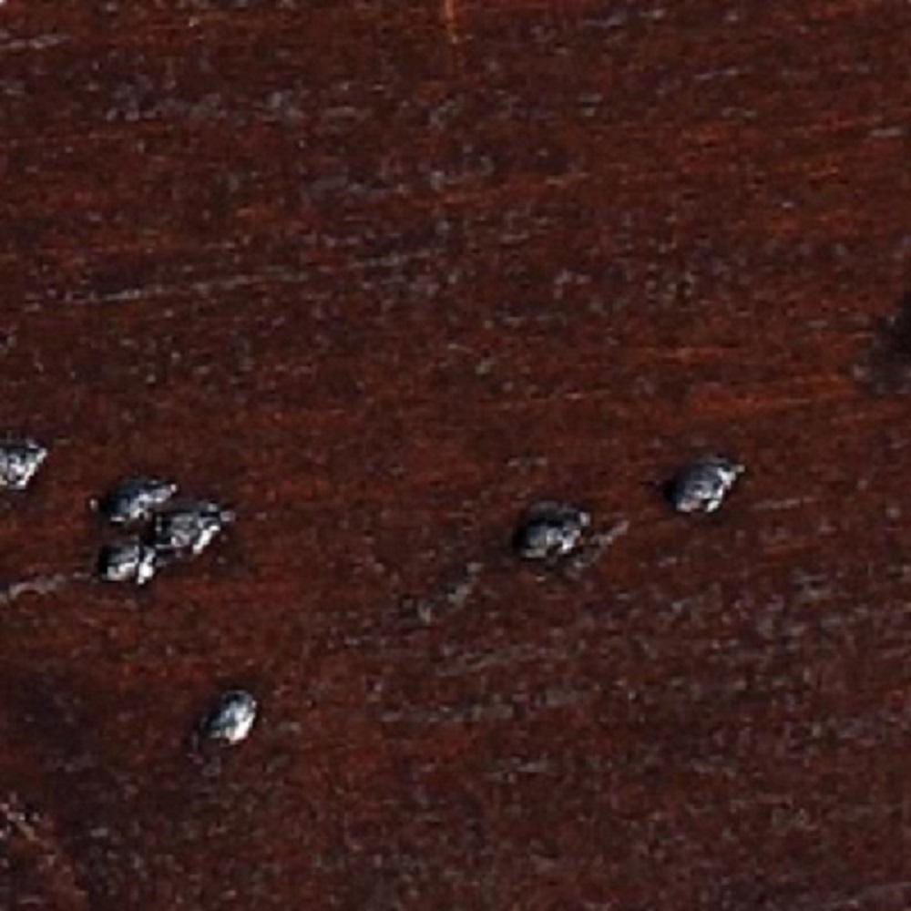 Antique Walnut Wood - Buy A Sample