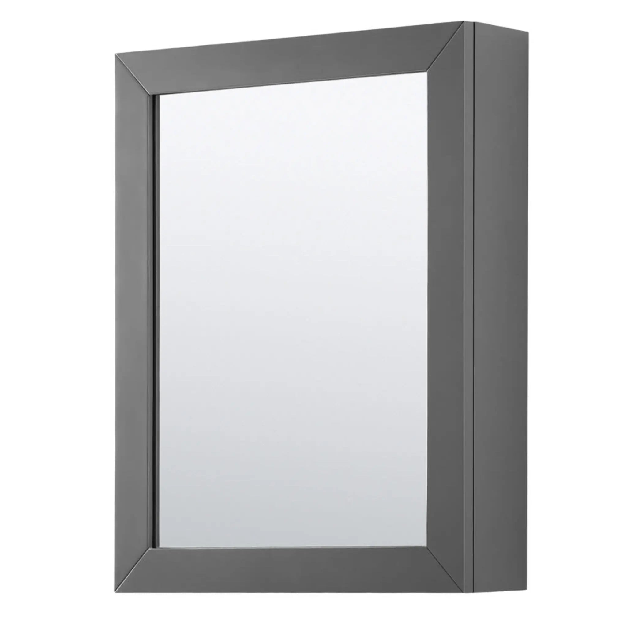 36" Daria Single Bathroom Vanity in Dark Gray with Matte Black Trim & Medicine Cabinet by Wyndham