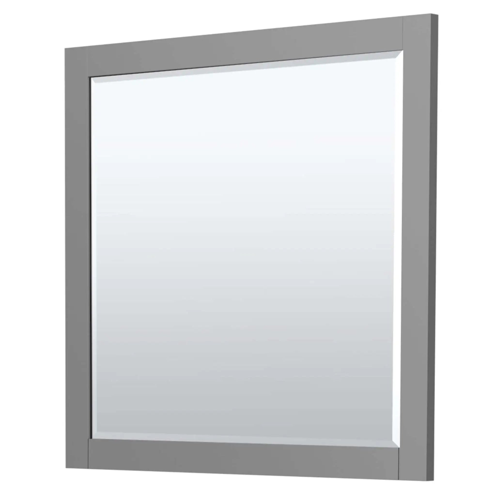 42" Miranda Single Bathroom Vanity in Dark Gray with Brushed Nickel Trim & 34" Mirror by Wyndham