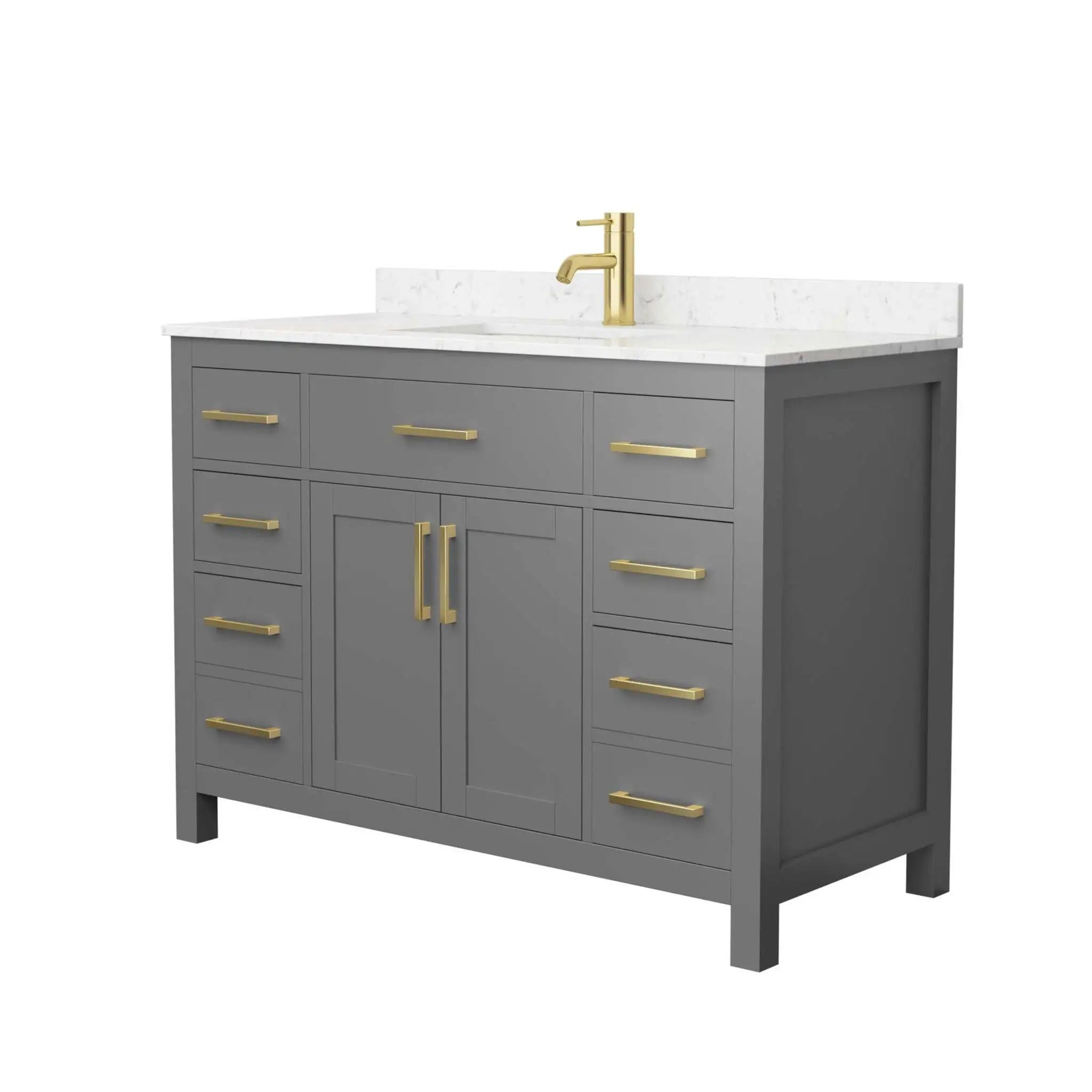 48" Beckett Single Bathroom Vanity in Dark Gray with Brushed Gold Trim by Wyndham