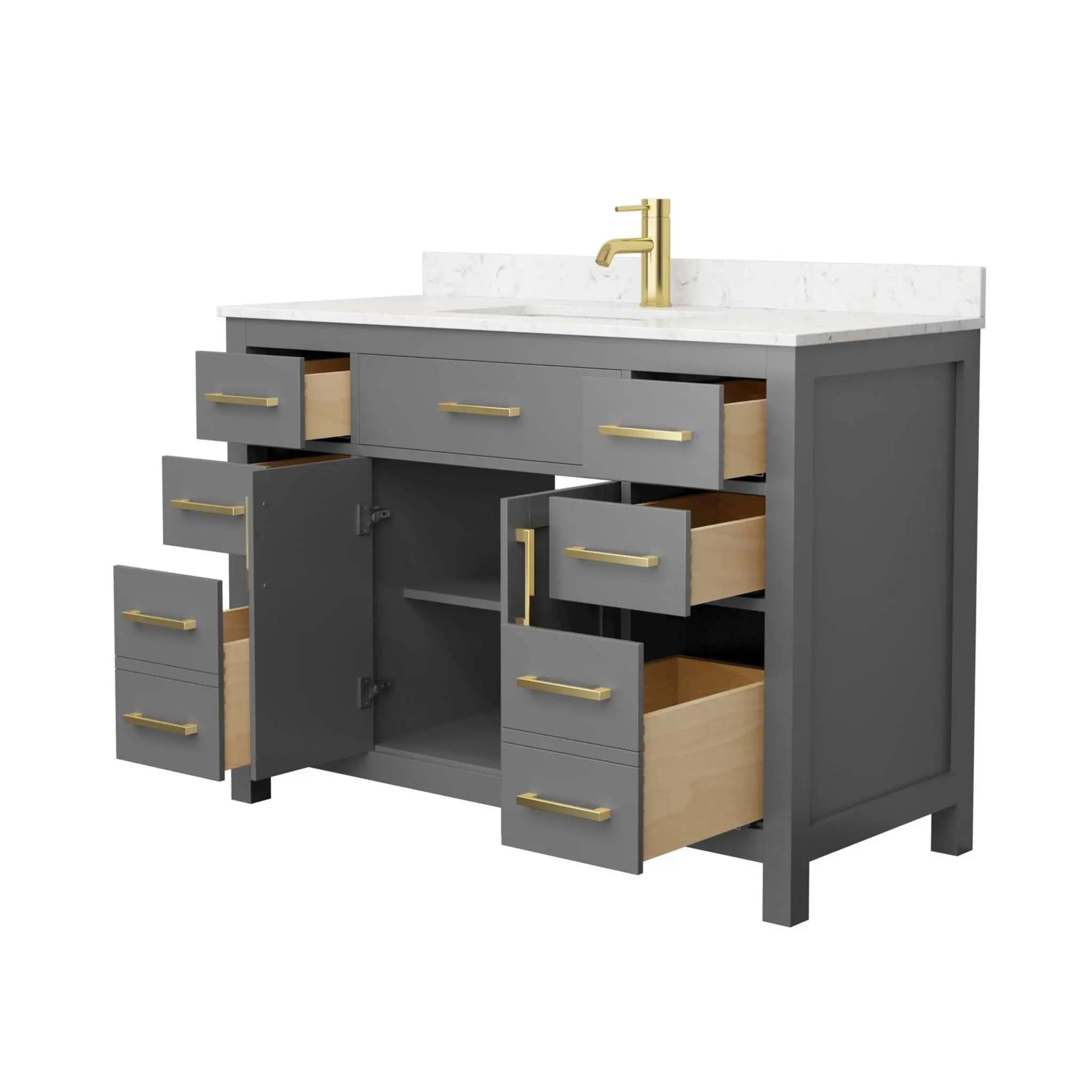 48" Beckett Single Bathroom Vanity in Dark Gray with Brushed Gold Trim by Wyndham