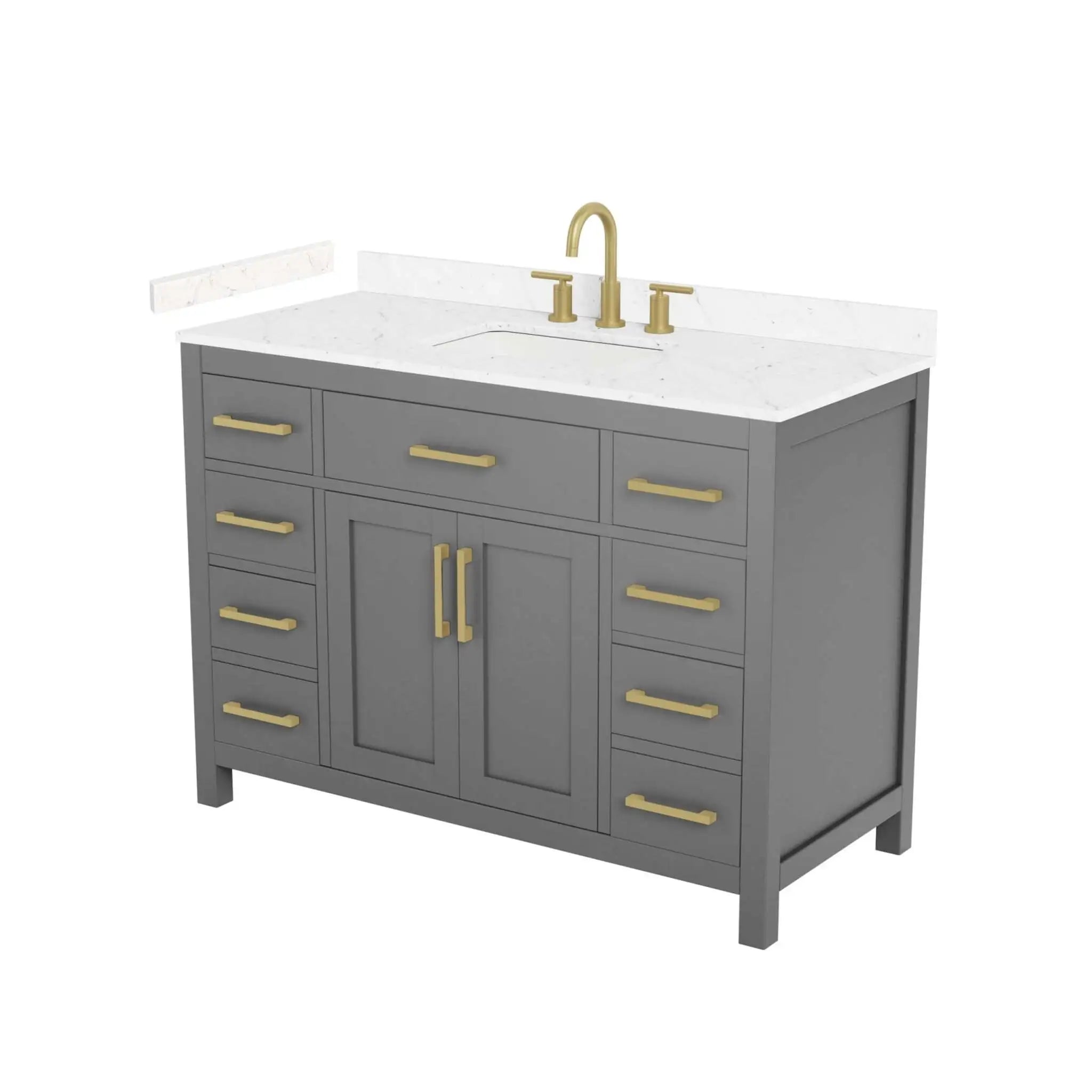 48" Beckett Single Bathroom Vanity in Dark Gray with Brushed Gold Trim by Wyndham