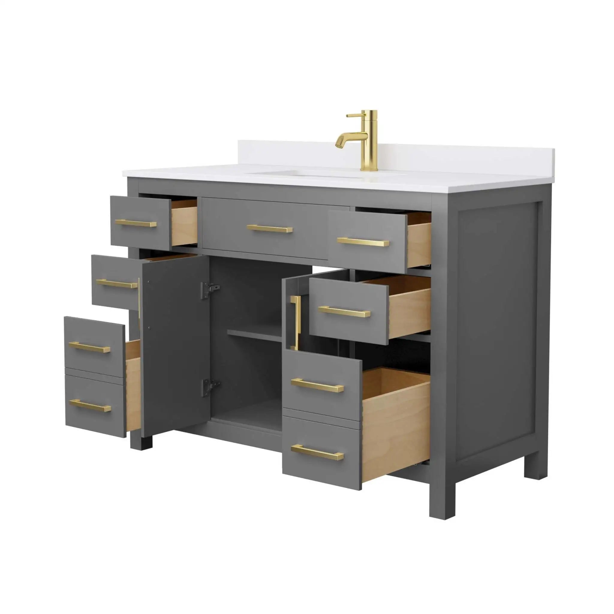 48" Beckett Single Bathroom Vanity in Dark Gray with Brushed Gold Trim by Wyndham