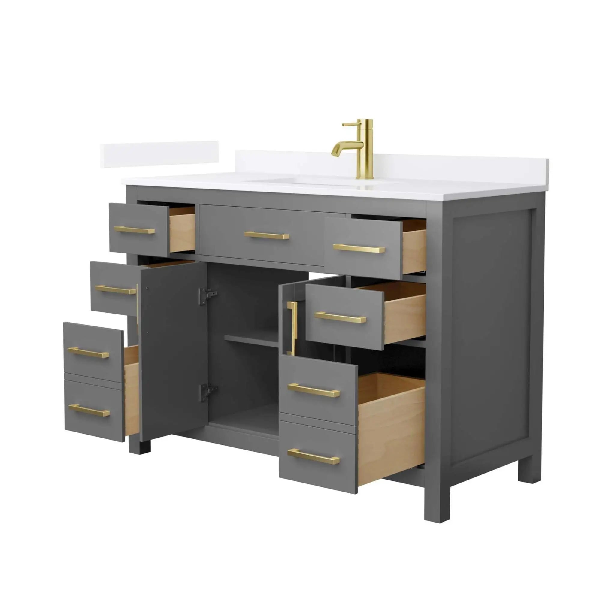 48" Beckett Single Bathroom Vanity in Dark Gray with Brushed Gold Trim by Wyndham