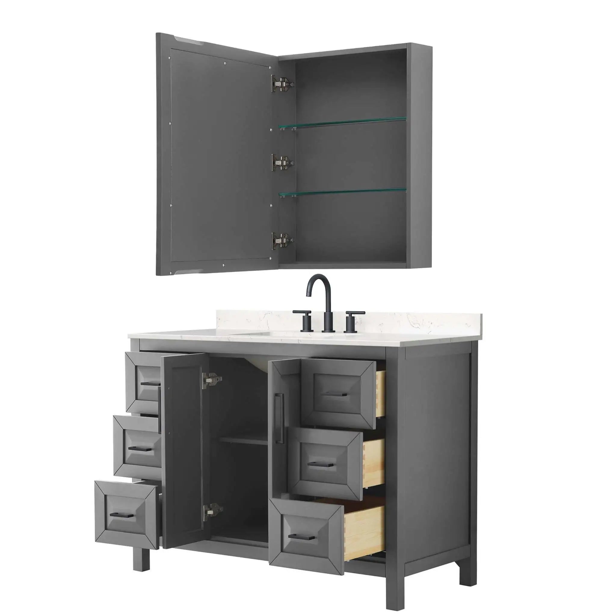 48" Daria Single Bathroom Vanity in Dark Gray with Matte Black Trim & Medicine Cabinet by Wyndham