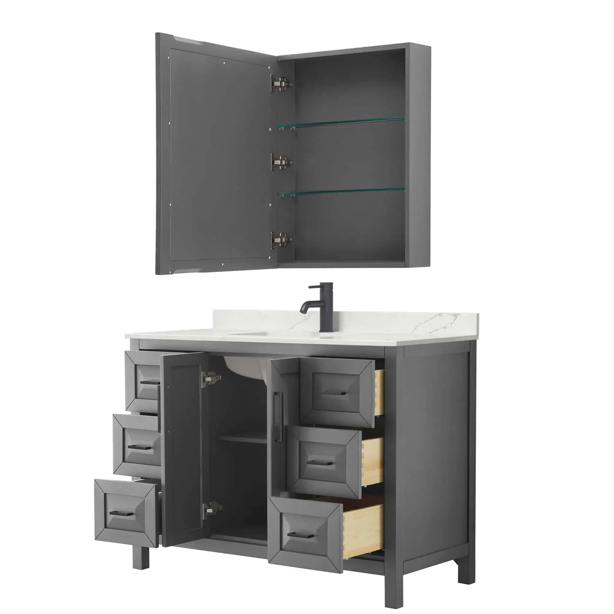 48" Daria Single Bathroom Vanity in Dark Gray with Matte Black Trim & Medicine Cabinet by Wyndham