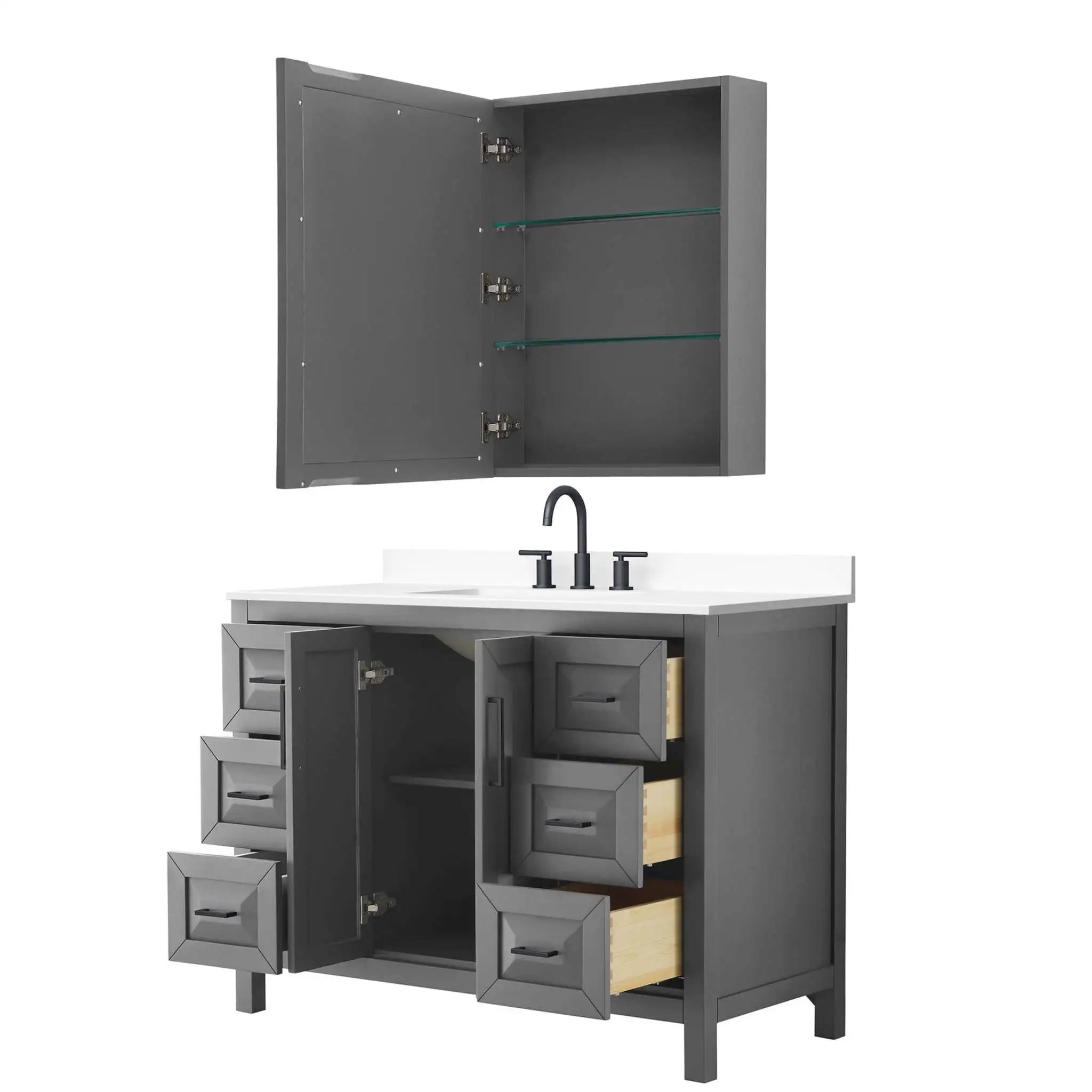 48" Daria Single Bathroom Vanity in Dark Gray with Matte Black Trim & Medicine Cabinet by Wyndham
