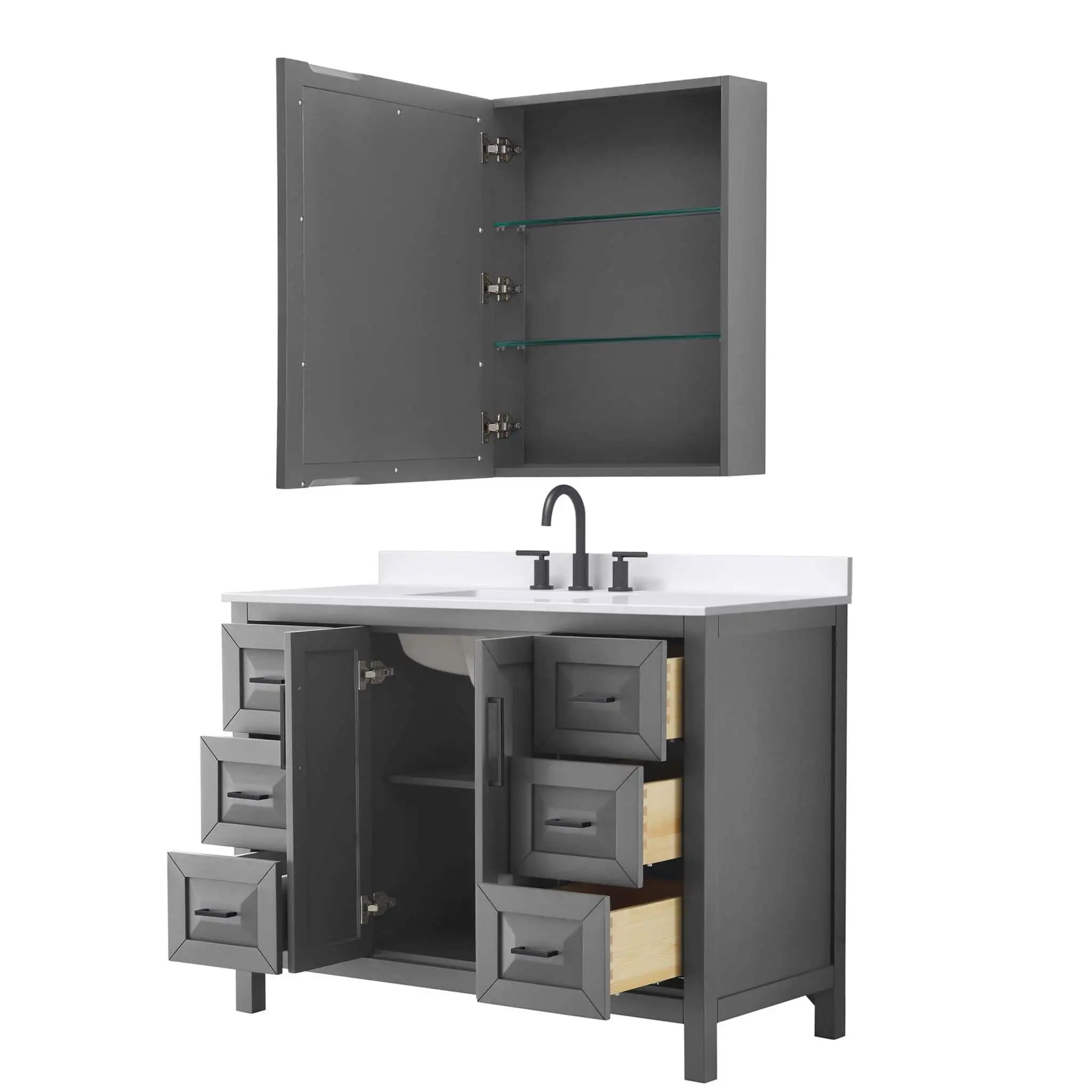 48" Daria Single Bathroom Vanity in Dark Gray with Matte Black Trim & Medicine Cabinet by Wyndham