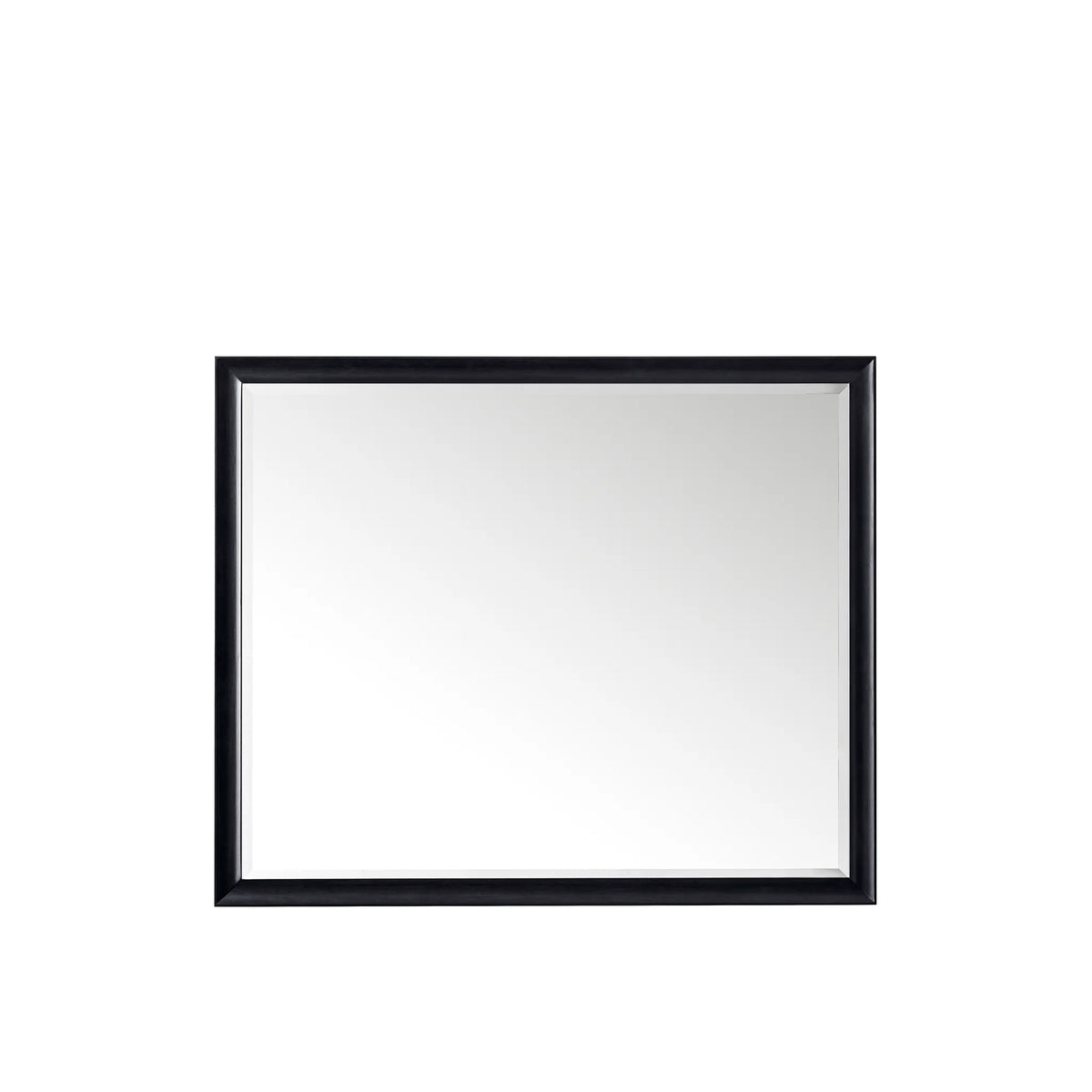 48 Inch Glenbrooke Mirror - Black Onyx Image 1