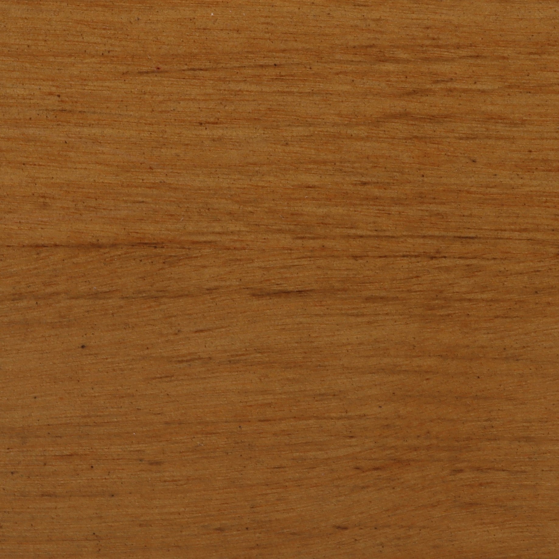 Amber Birch Wood - Buy A Sample