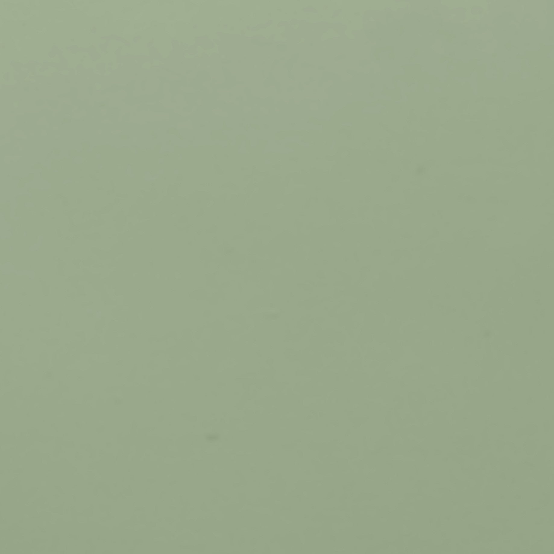 Pistachio Wood - Buy A Sample