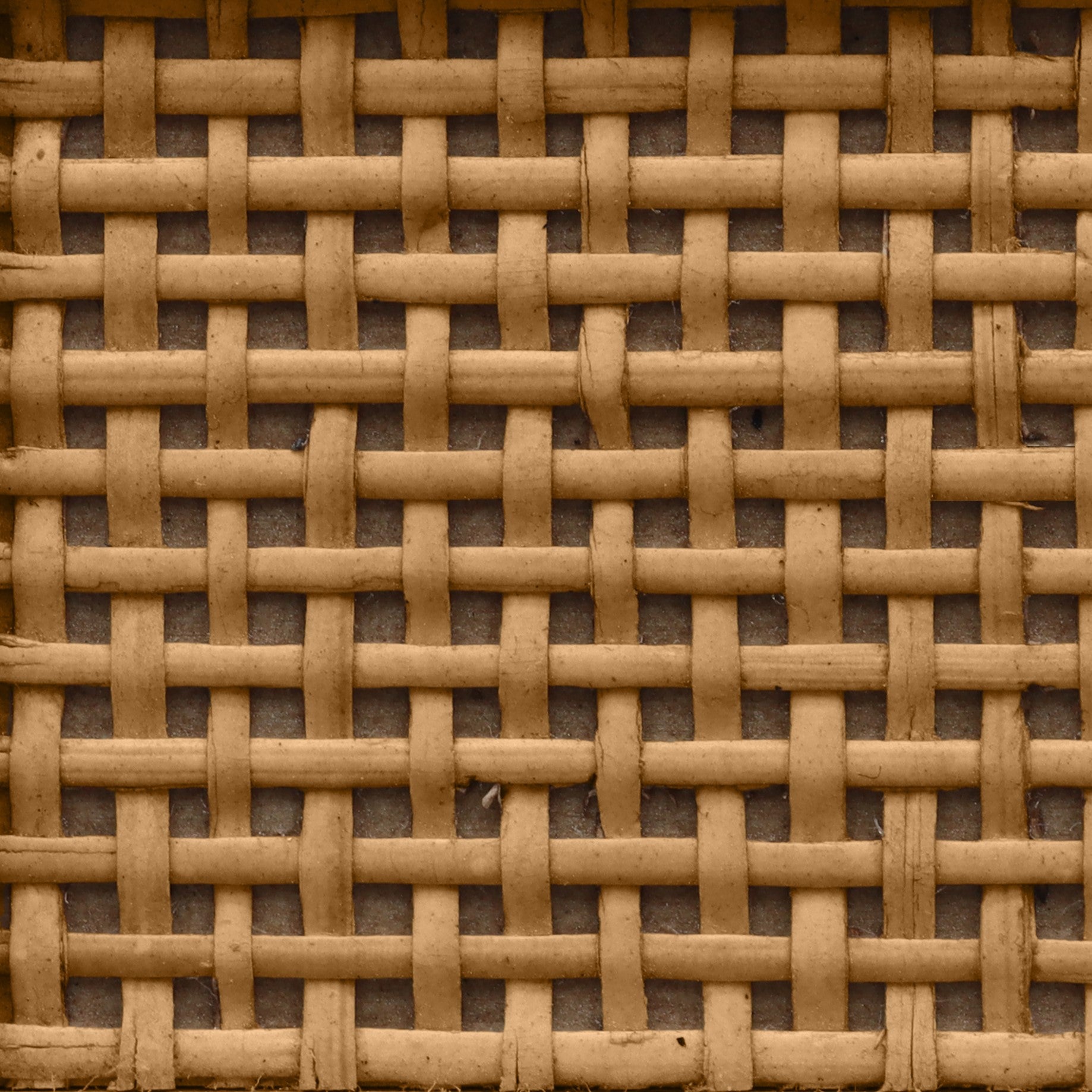 Seaside Oak Cane Wood - Buy A Sample